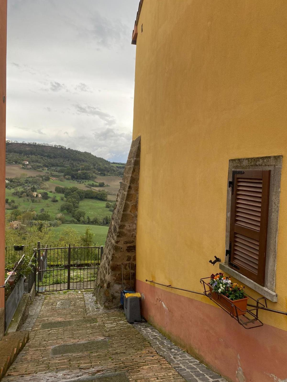 Casa Vacanze Il Geranio Celleno Zewnętrze zdjęcie